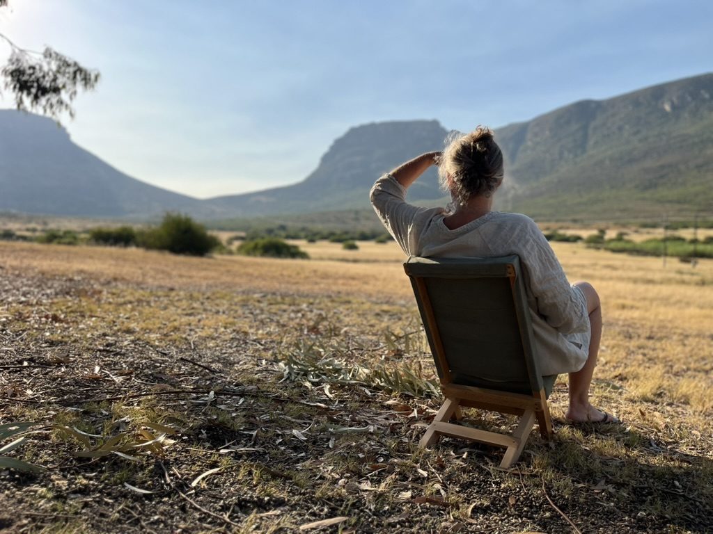 Beech folding chair with olive canvas in a garden